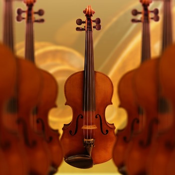 Formation instrumentale : violon alto