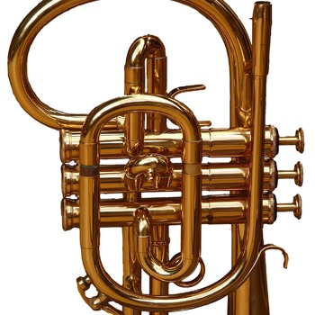 Formation instrumentale : cornet à pistons