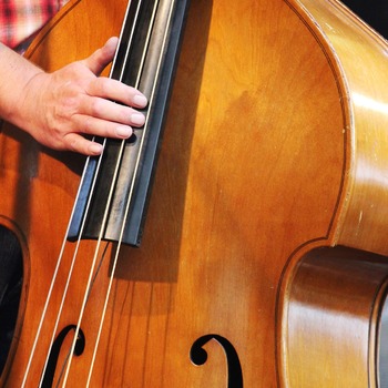 Formation instrumentale : violone (contrebasse ancienne)