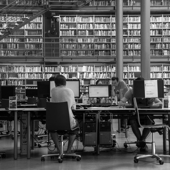 Les universités, moteurs d’innovation et d’entrepreneuriat pour relever les défis de demain